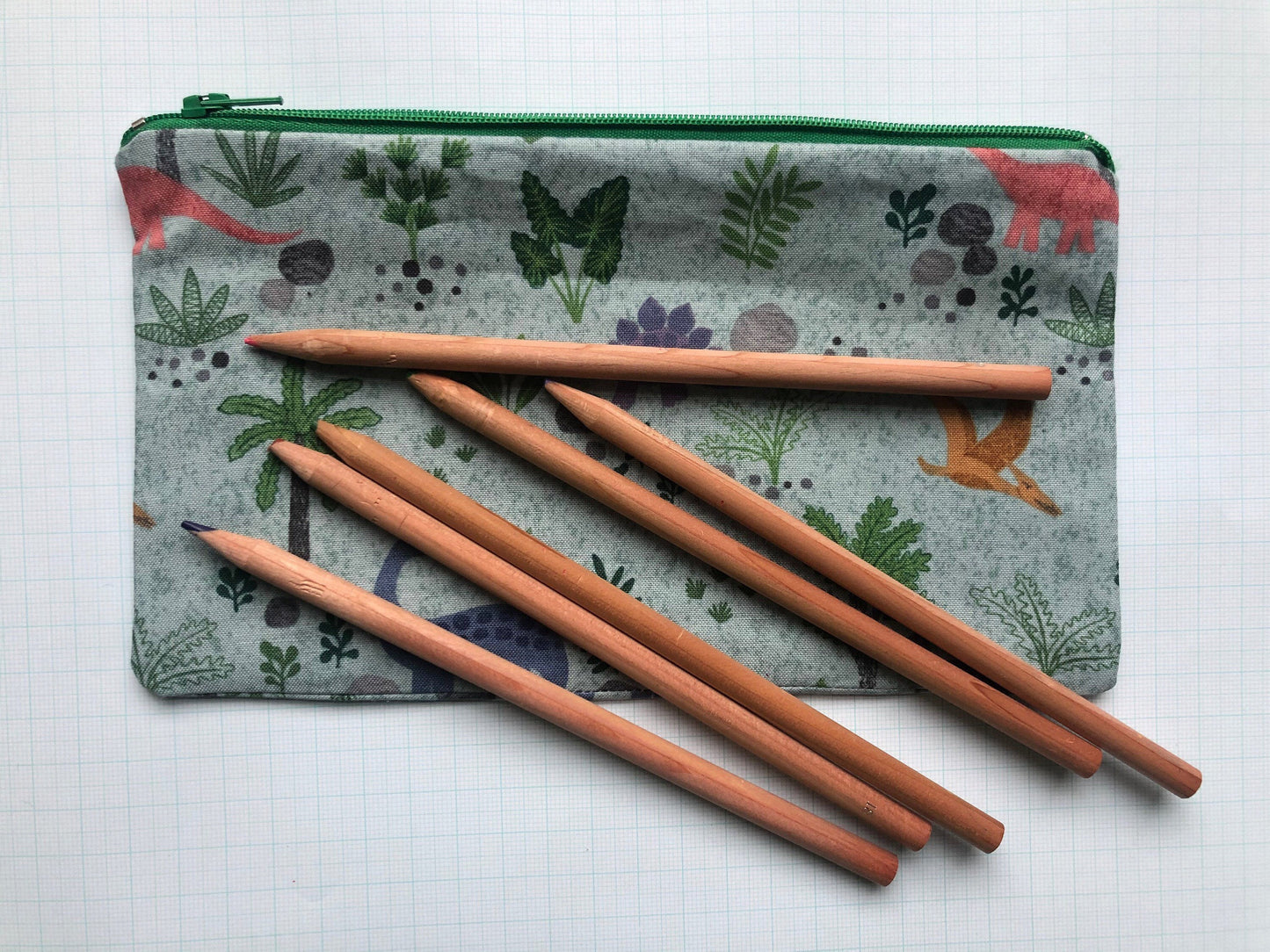 Dinosaurs Zipper Pouches